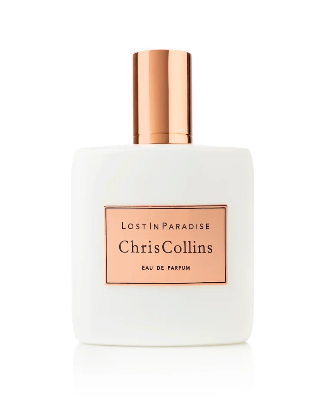Chris Collins Lost in Paradise