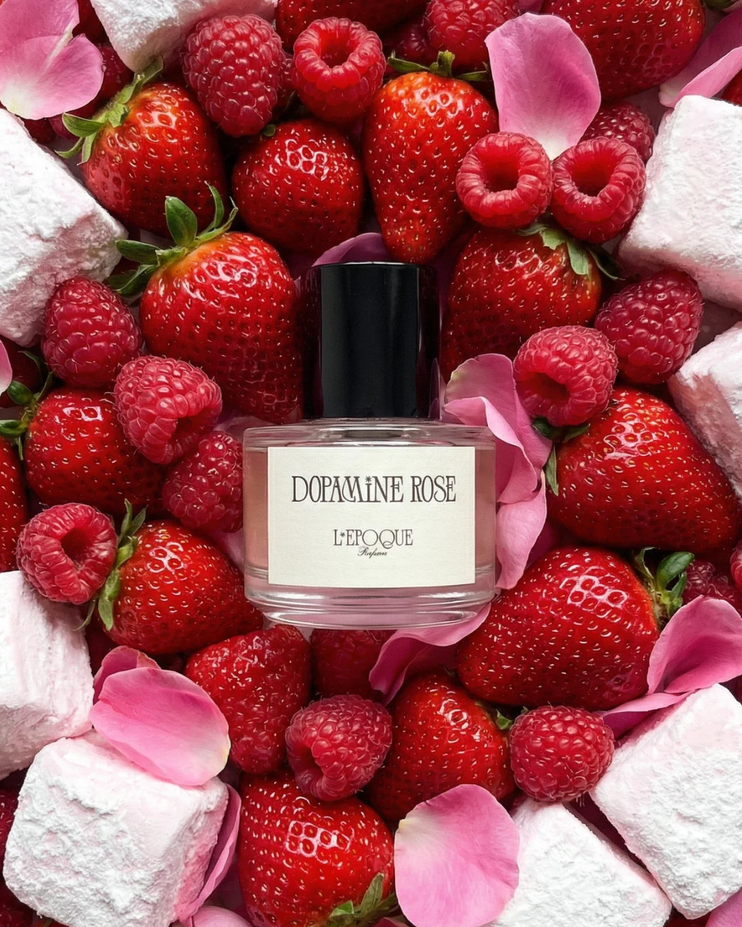 L'epoque Dopamine Rose