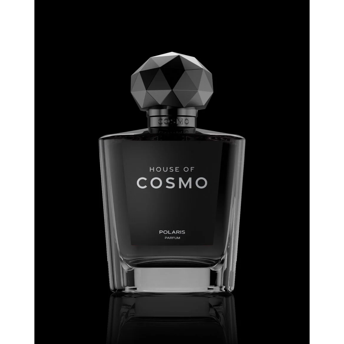 House of Cosmo Polaris